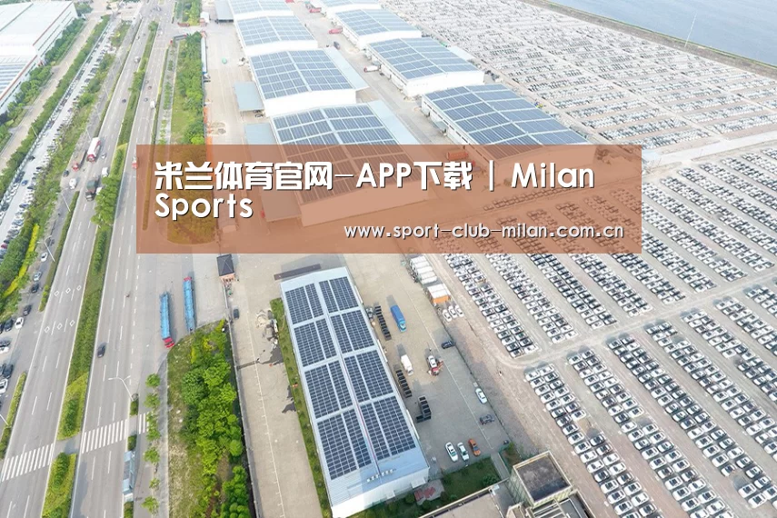 案例展示一